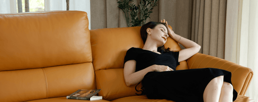 Celebrate World Recliner Day with HomesToLife