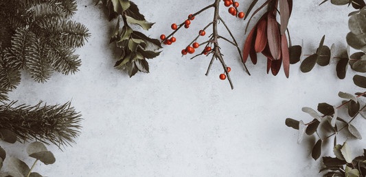 Christmas is a time of gifting at HomesToLife