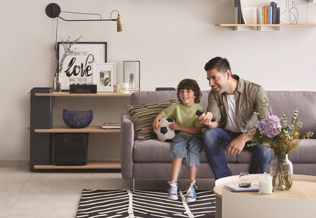 How to Maintain Your Fabric Sofa - HomesToLife